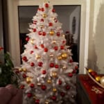 Sapin 2018