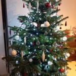 Sapin 2019