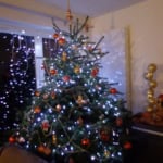 Noel 2014