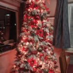 Sapin 2023